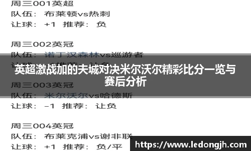 英超激战加的夫城对决米尔沃尔精彩比分一览与赛后分析